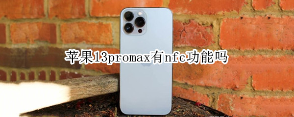 苹果13promax有nfc功能吗（苹果13promax有nfc功能吗门禁卡）