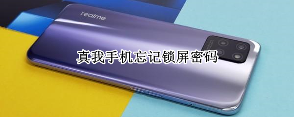 真我手机忘记锁屏密码怎么办（真我手机忘记锁屏密码怎么办没有电话）