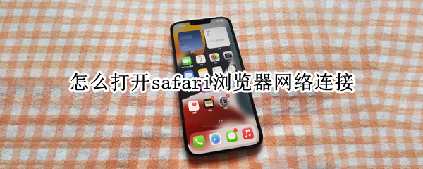 怎么打开safari浏览器网络连接 safari浏览器如何连接互联网