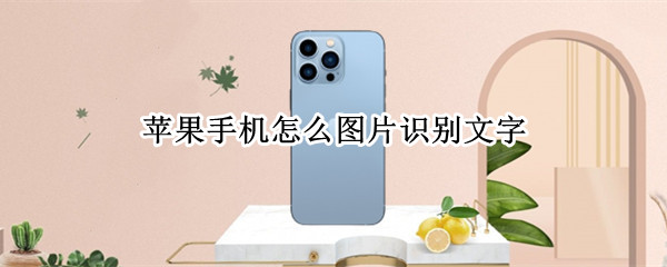 苹果手机怎么图片识别文字（苹果手机图片识别文字功能）