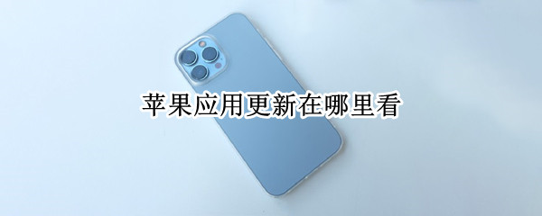 苹果应用更新在哪里看（苹果应用更新在哪里看内存）