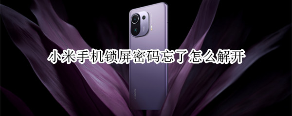小米手机锁屏密码忘了怎么解开 小米手机锁屏密码忘了怎么解开手机