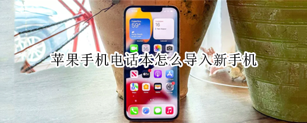 苹果手机电话本怎么导入新手机（苹果手机电话本怎么导入新手机里）
