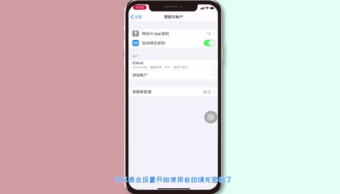 苹果手机验证码自动填写在哪里设置 苹果怎么自动填写验证码