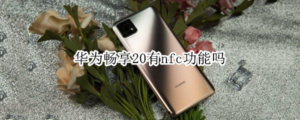 华为畅享20有nfc功能吗（华为畅享20plus有没有nfc功能）