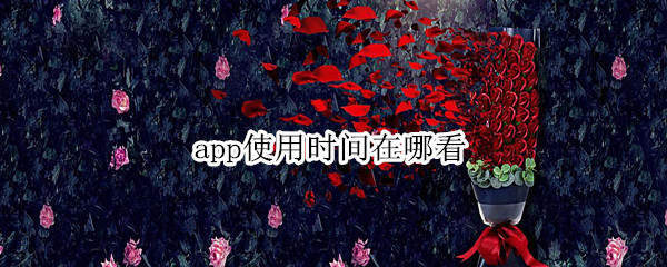 app使用时间在哪看 小米app使用时间在哪看