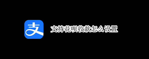 支持花呗收款怎么设置（支持花呗收款怎么设置额度）