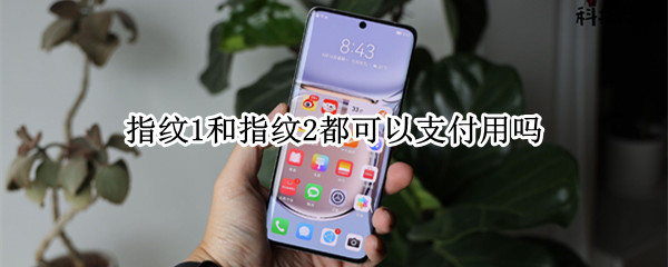 指纹1和指纹2都可以支付用吗（指纹支付是不是只能一个）