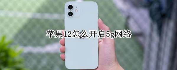 苹果12怎么开启5g网络 苹果12怎么开启5g网络权限