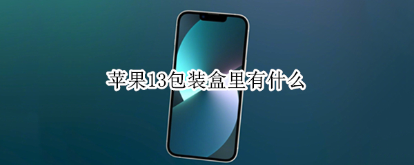 苹果13包装盒里有什么（苹果13的包装盒子是什么样子）