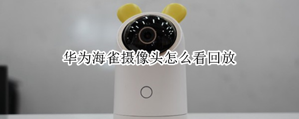 华为海雀摄像头怎么看回放（华为海雀摄像头怎么看回放有快放吗）