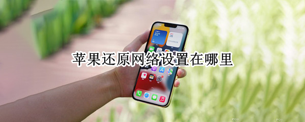 苹果还原网络设置在哪里 苹果还原网络设置在哪里找