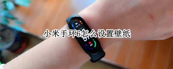 小米手环6怎么设置壁纸（小米手环6怎么设置壁纸苹果手机）