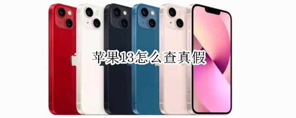 苹果13怎么查真假（苹果13怎么查真假?）