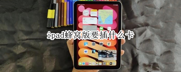 ipad蜂窝版要插什么卡（ipad蜂窝版要插什么卡美版）