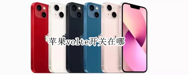 苹果volte开关在哪（苹果volte开关在哪里设置）