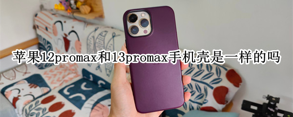 苹果12promax和13promax手机壳是一样的吗（苹果12promax和13promax手机壳是一样的吗?）