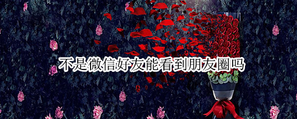 不是微信好友能看到朋友圈吗 不是微信好友能看到朋友圈吗知乎