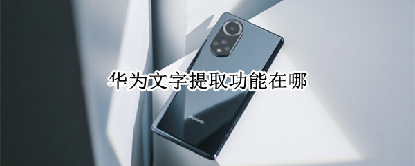 华为文字提取功能在哪 华为文字提取功能在哪里找