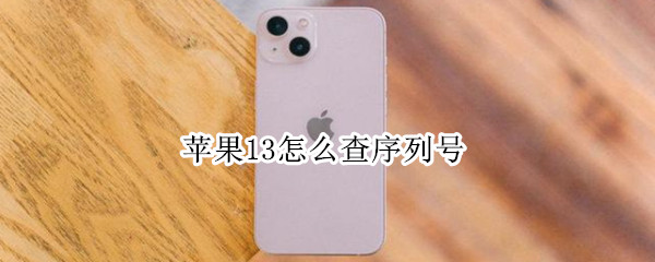 苹果13怎么查序列号（苹果13怎么查序列号J）