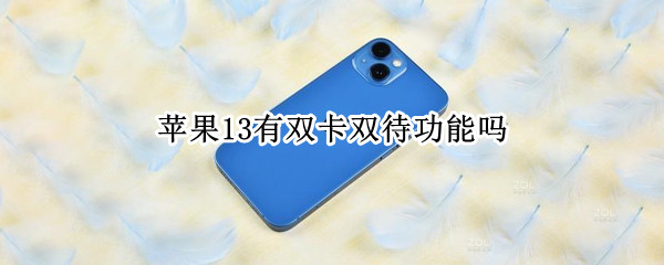 苹果13有双卡双待功能吗 苹果13可以双卡双待吗?
