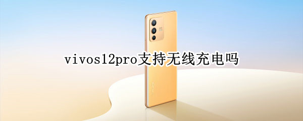 vivos12pro支持无线充电吗（vivos10pro有无线充电吗）