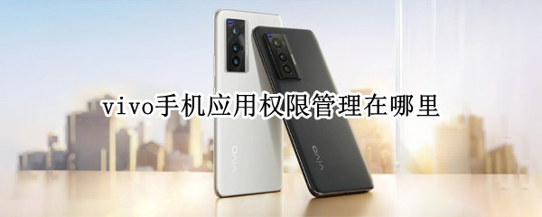 vivo手机应用权限管理在哪里（vivo手机软件权限管理在哪里）