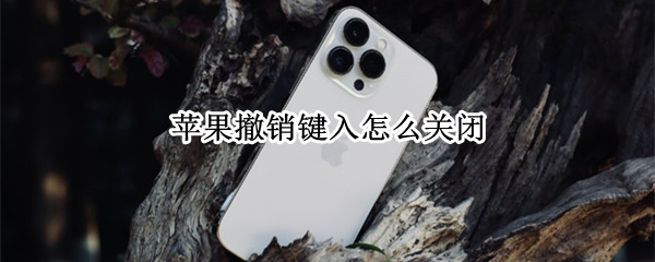 苹果撤销键入怎么关闭 苹果手机取消撤销键入