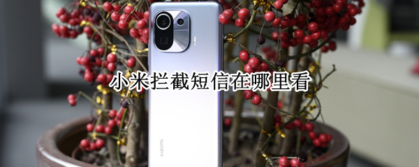 小米拦截短信在哪里看 小米拦截的短信在哪里可以看到