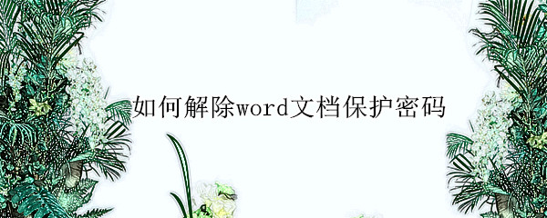 如何解除word文档保护密码 如何解除word文档保护密码不记得密码