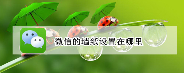 微信的墙纸设置在哪里 微信在哪设壁纸