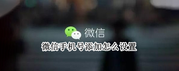 微信手机号添加怎么设置 微信如何设置手机号添加