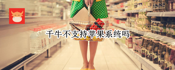 千牛不支持苹果系统吗（苹果系统的千牛怎么不一样）