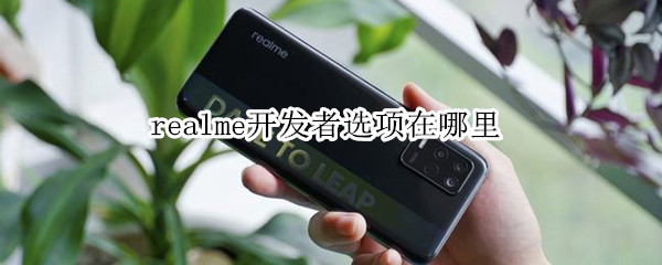 realme开发者选项在哪里（realmex开发者选项在哪里）