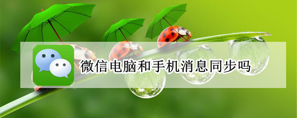 微信电脑和手机可以同步消息吗 微信电脑和手机可以同步消息吗