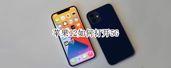 苹果12如何打开5G 苹果12如何打开5G信号