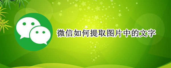 微信如何提取图片中的文字 电脑微信如何提取图片中的文字