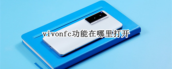 vivonfc功能在哪里打开（vivonfc功能在哪里打开三文鱼皮可以吃吗）