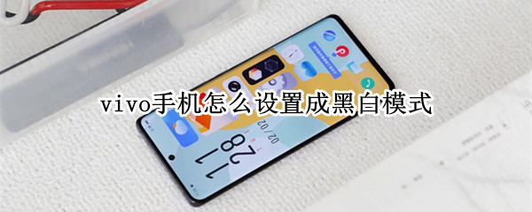 vivo手机怎么设置成黑白模式 vivo手机黑白模式怎么调