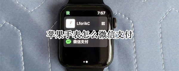 苹果手表怎么微信支付 苹果手表怎么微信支付视频