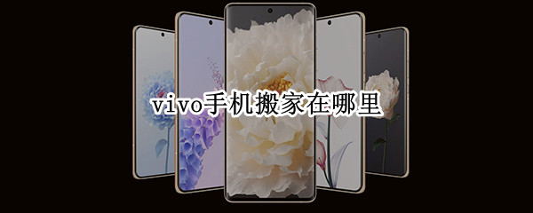 vivo手机搬家在哪里（vivo手机搬家在哪里找）