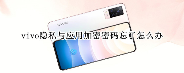 vivo隐私与应用加密密码忘了怎么办 vivo隐私与应用加密密码忘了怎么办电话