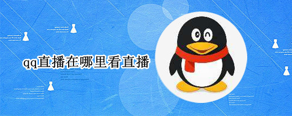 qq直播在哪里看直播（QQ在哪里看直播）