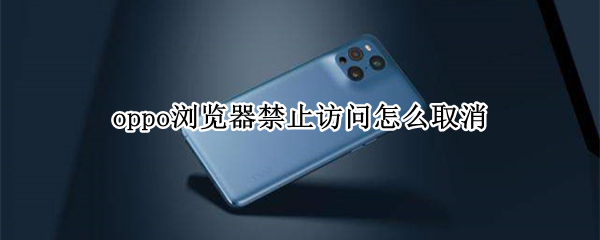 oppo浏览器禁止访问怎么取消（oppo浏览器禁止访问怎么取消掉）