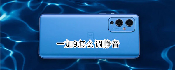 一加9怎么调静音（一加9怎么调静音震动）