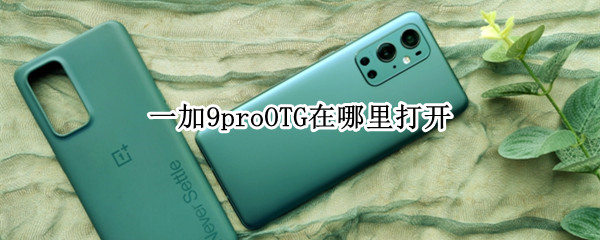 一加9proOTG在哪里打开（一加9pro怎么开启ltpo）