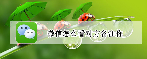 微信怎么看对方备注你 微信如何查看对方备注你