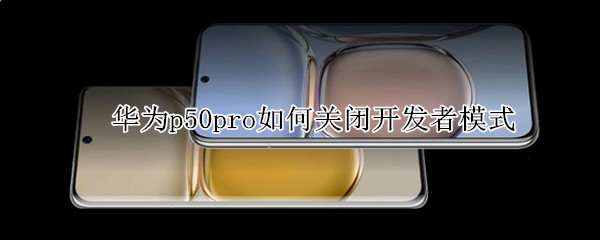 华为p50pro如何关闭开发者模式 华为p50pro如何关闭开发者模式