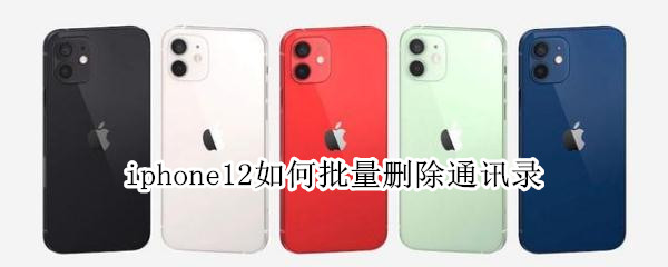 iphone12如何批量删除通讯录 iphone12怎么批量删除通讯录