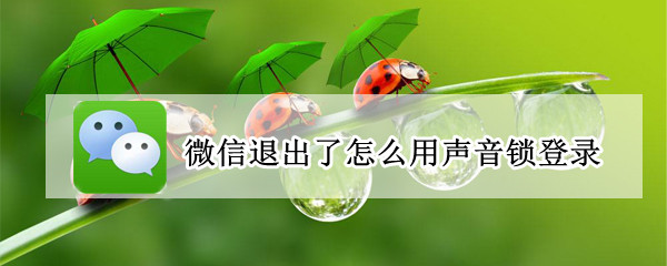 微信退出了怎么用声音锁登录（退出微信后怎么用声音锁登录）